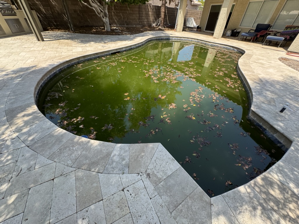 Before: green water and floating leaves in a freeform pool surrounded by stone paving