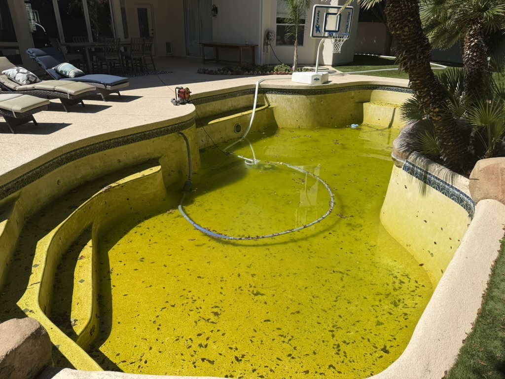 Second project pool before resurfacing, with green water.