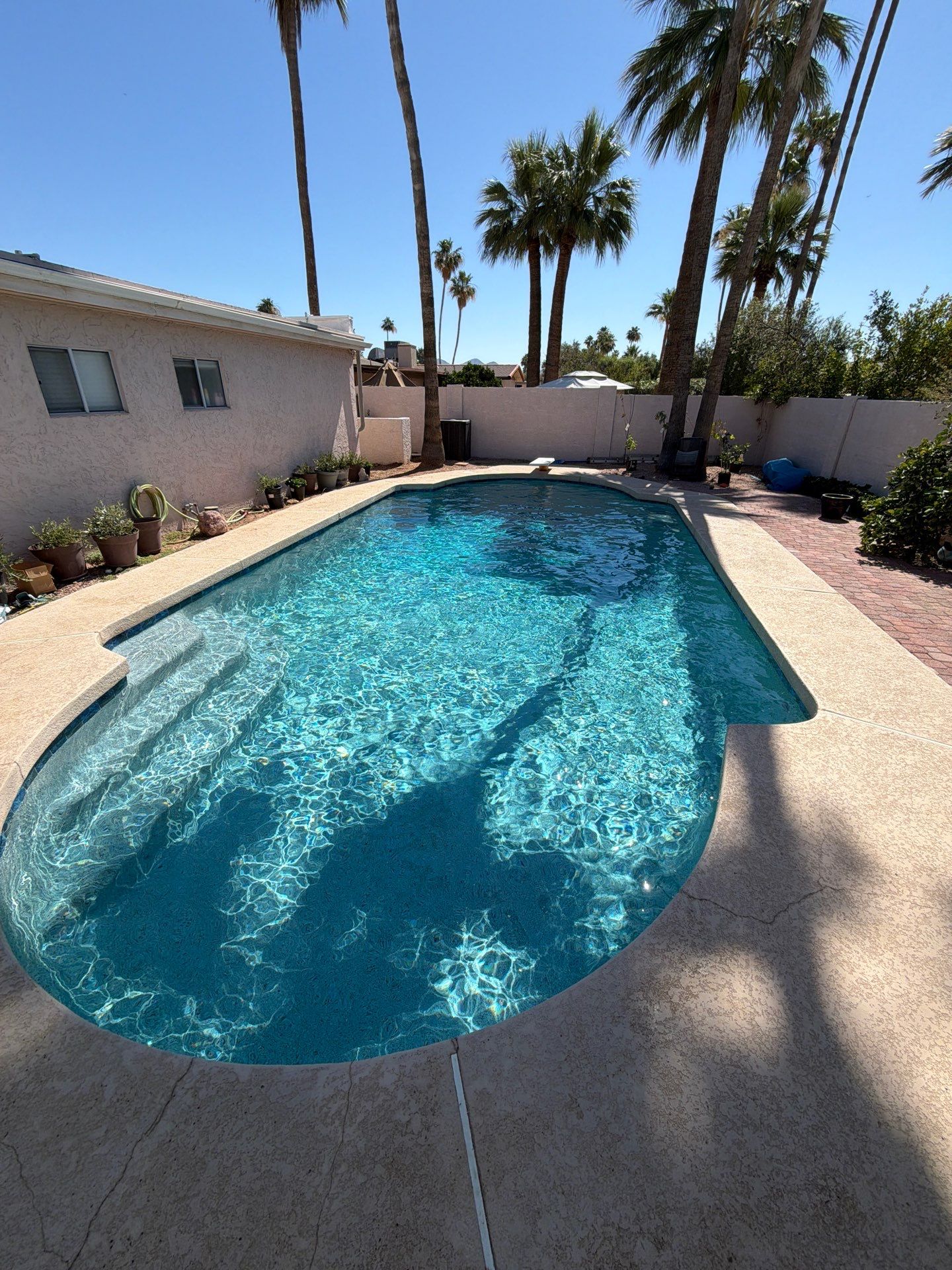 The same backyard pool, filled with clear blue water.
